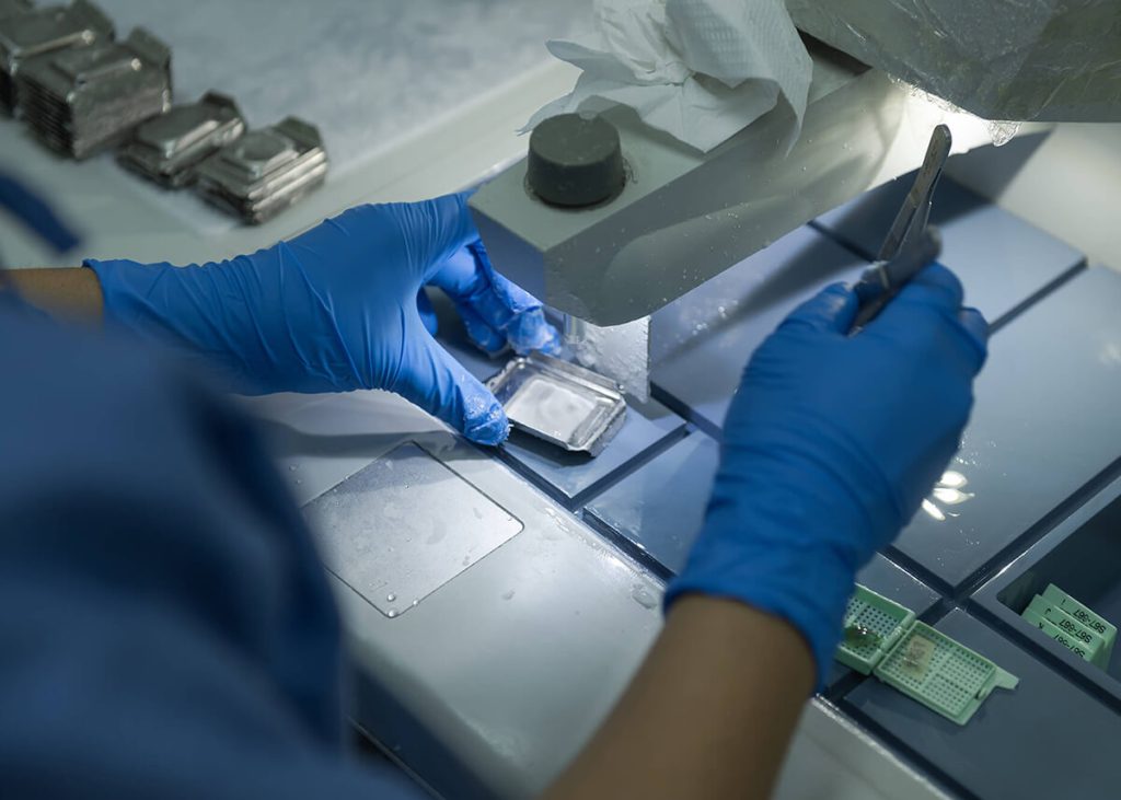 Dermatopathology lab