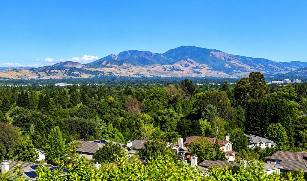 Mount Diablo above the trees of Rossmoor in Walnut Creek